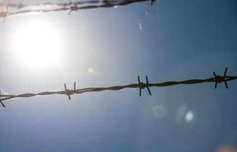 Barbed wire close Stock Photos
