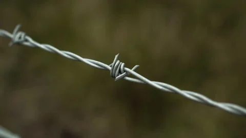 Barbed Wire Closeup Stock Footage 154214888