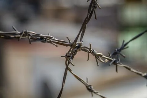 Barbed wire. Closeup Stock Photos