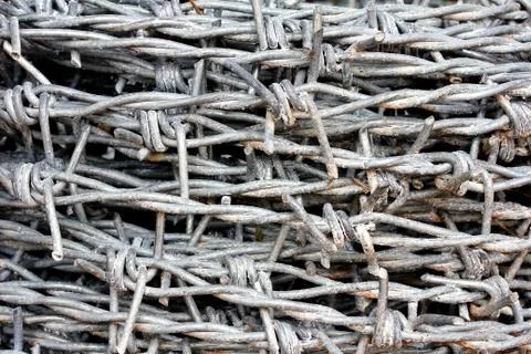 Barbed wire coil Stock Photos