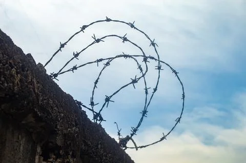 Barbed wire coiled on a rough concrete wall under a cloudy blue sky, symbol.. Stock Photos