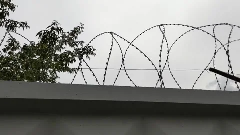 Barbed wire on a concrete wall. Overcast sky. Jail. Guarded object. Illegal Stock Footage 158328857