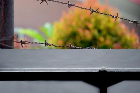 Barbed wire concrete wall Stock Photos