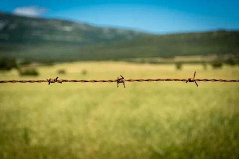 Barbed wire in the countryside Stock Photos