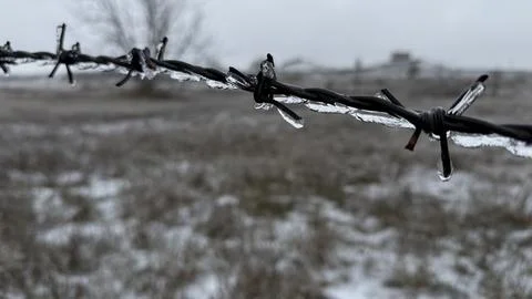 Barbed wire covered with ice during winter freeze Stock Photos