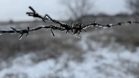 Barbed wire covered with ice during winter freeze Stock Photos