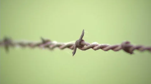 Barbed wire cu-Pond 5 Stock Settings HD Stock Footage 8521581