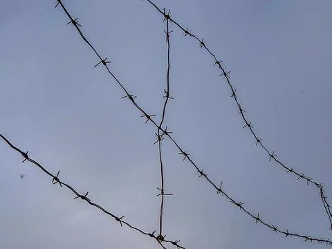 Barbed wire danger zone Stock Photos