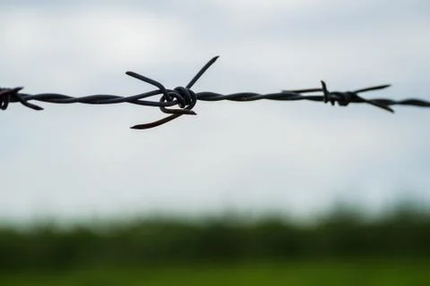 Barbed wire in the dark. Stock Photos