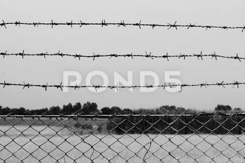 Barbed wire detention center at countryside and background gray color style Stock Photos