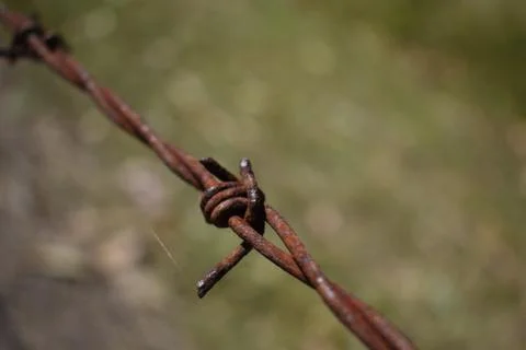Barbed wire diagonal on green background Stock Photos