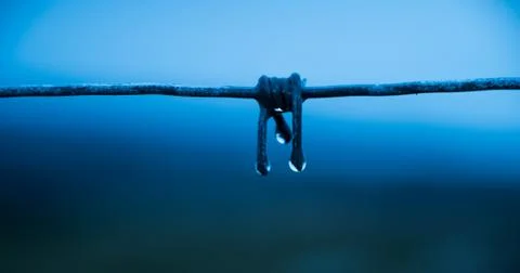 Barbed wire dripping Stock Photos