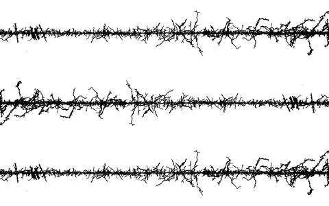 Barbed wire fabric frame, black and white lines with branches, barbed wire Stock Illustration