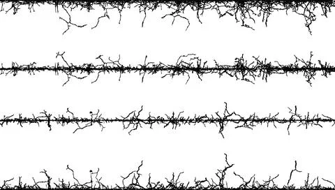 Barbed wire fabric frame, black and white lines with branches, barbed wire Stock Illustration