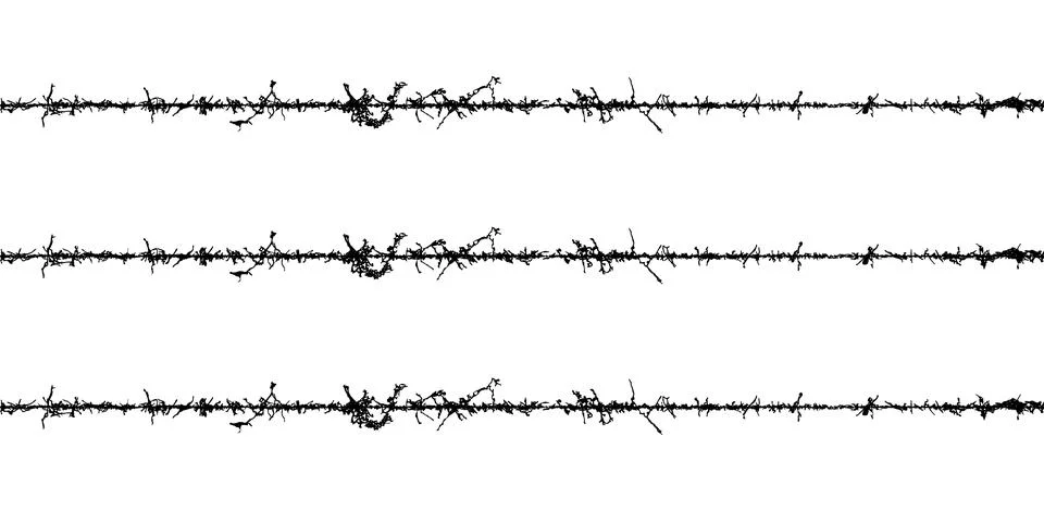 Barbed wire fabric frame, black and white lines with branches, barbed wire Stock Illustration