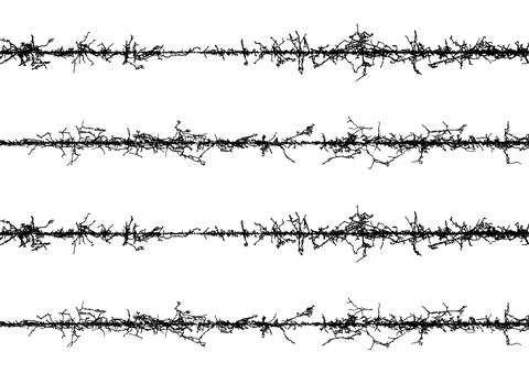 Barbed wire fabric frame, black and white lines with branches, barbed wire Stock Illustration