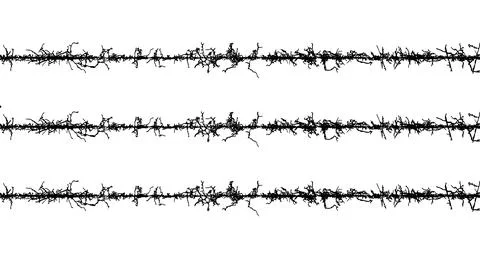 Barbed wire fabric frame, black and white lines with branches, barbed wire Stock Illustration