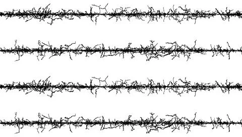 Barbed wire fabric frame, black and white lines with branches, barbed wire Stock Illustration
