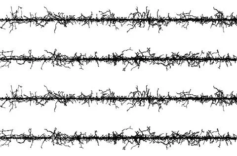 Barbed wire fabric frame, black and white lines with branches, barbed wire Stock Illustration