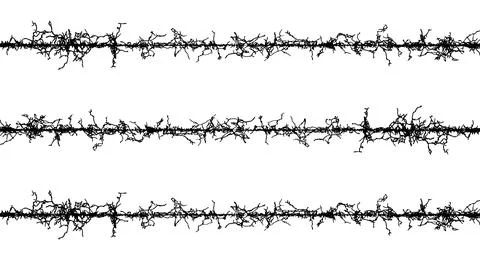 Barbed wire fabric frame, black and white lines with branches, barbed wire Stock Illustration