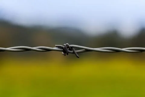 Barbed wire in a farm Stock Photos