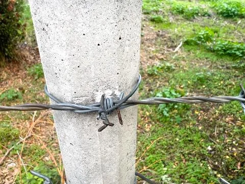 Barbed wire fastened to concrete post in green field setting Stock Photos