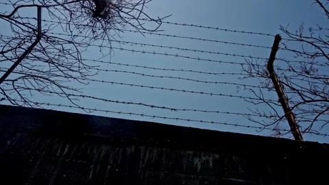 Barbed Wire Fence Against Clear Sky And Bare Trees Exterior Wall View Conce.. Stock Footage 345651251