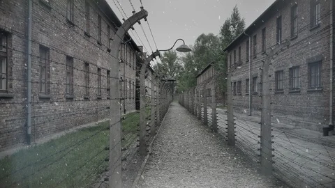 Barbed Wire Fence Auschwitz Poland Concentration Camp, Nazi Holocaust War Museum Stock Footage
