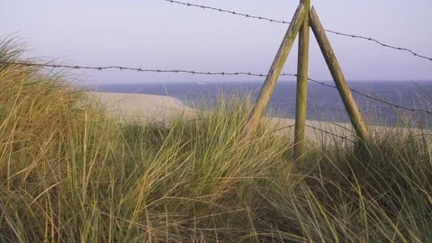 Barbed wire fence on beach Video stock 71565053