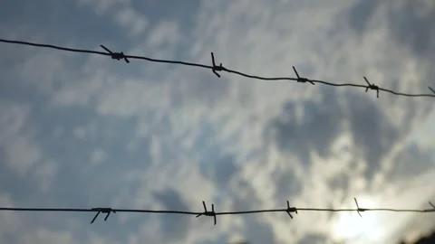 Barbed wire on fence, close-up. Border barbed wire fence with blue sky Stock Footage 283542485