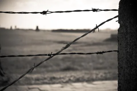 Barbed wire fence in concentration camp Stock Photos