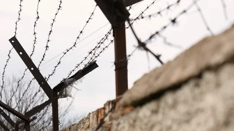 Barbed wire on the fence, the concept of prison. Stock Footage