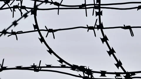 Barbed wire fence creating a barrier against a clear sky Stock Footage 324612133