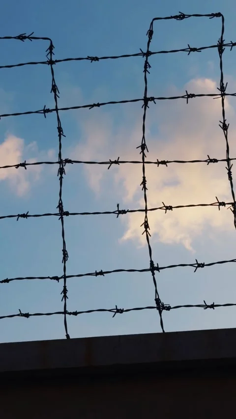 Barbed wire fence creating a barrier against a blue sky with some clouds, Stock Footage 336559562
