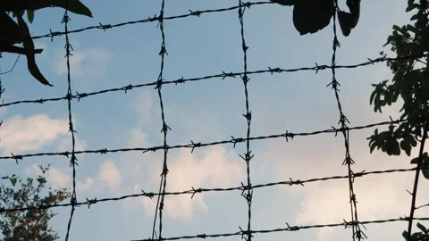 Barbed wire fence creating a strong barrier and emphasizing concepts of Stock Footage 336554918