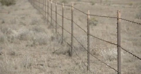 Barbed Wire Fence in Desert Meadow Stock Footage 89942654