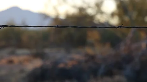 Barbed wire fence on a desert ranch Stock Footage 56439306