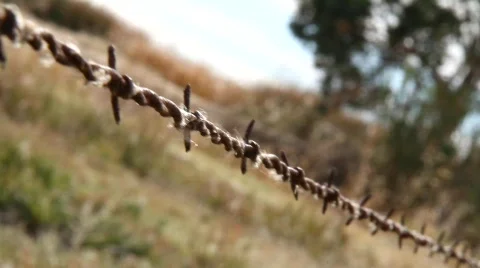 Barbed Wire Fence Escape Stock Footage