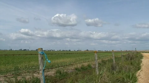 Barbed wire fence  Stock Footage 117437