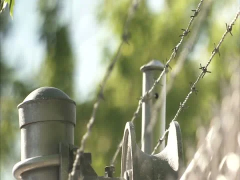 Barbed wire fence Stock Footage 11401913