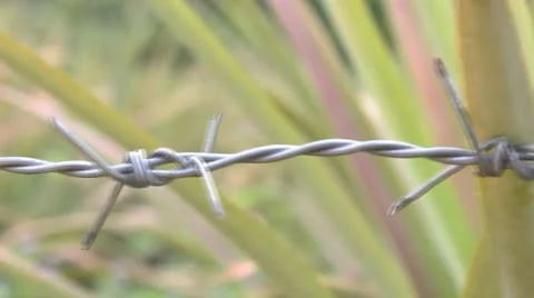 Barbed wire fence Stock Footage 20465914