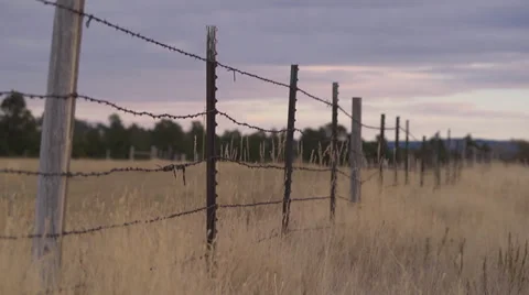 Barbed Wire Fence Stock Footage 34174479