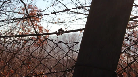 BARBED WIRE FENCE Stock Footage 34988711