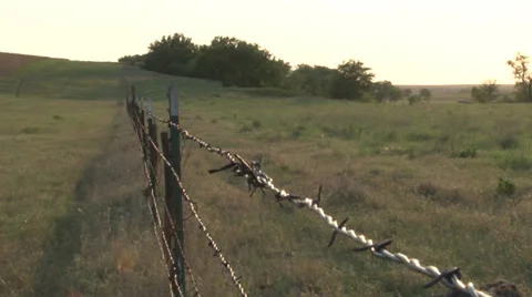 Barbed Wire Fence Stock Footage 36579397