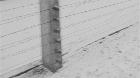 The barbed wire fence Vídeo Stock 47035619