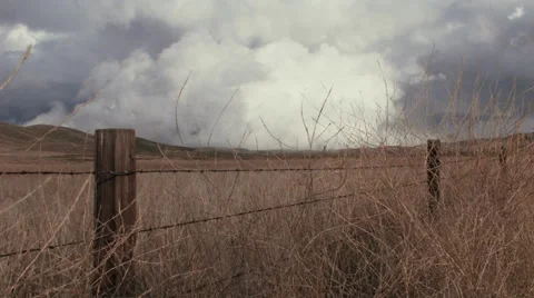 Barbed Wire Fence Stock Footage 47516555