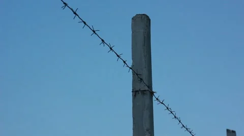 Barbed wire fence Stock Footage 53277603