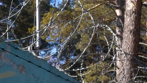 Barbed wire fence. Stock Footage 104292750
