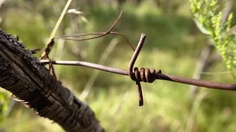 Barbed wire on the fence 動画素材 111955461