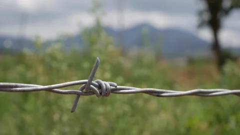 Barbed wire on the fence Stock Footage 133416768